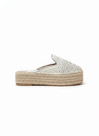 Ref.SH258TAL PLANTA SUECO CHOCHE TALCO