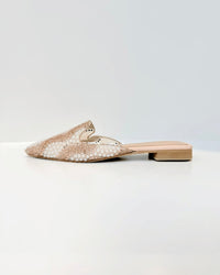 BALETA ARABELLA CON BRILLOS NUDE