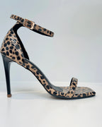 VAL268PRI TACON ANIMAL PRINT