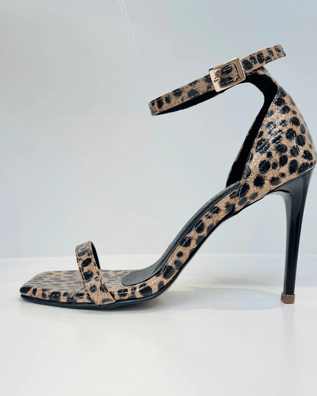 VAL268PRI TACON ANIMAL PRINT